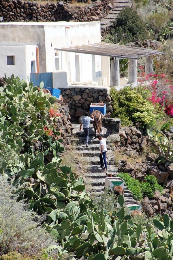 مبيت وإفطار Alicudi Giardino Dei Carrubi- Al Gradino 365 المظهر الخارجي الصورة